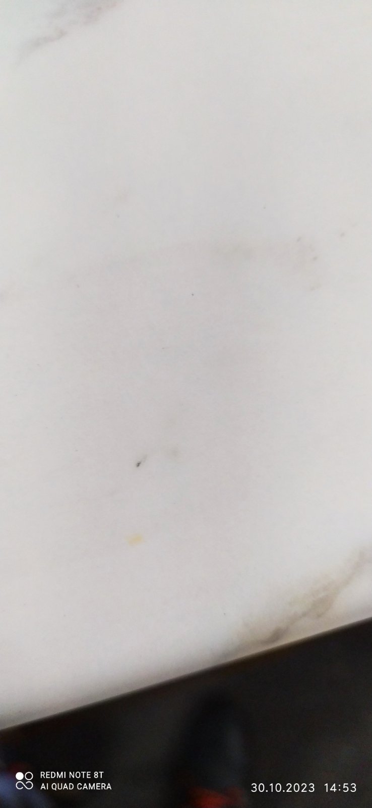 147544.1.jpg