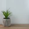 Скло Master Thela 4мм Saint Gobain - small