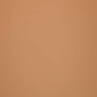МДФ FENIX NTM BLOOM 0791 / FENIX NTM BLOOM 0791x10
