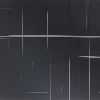 Polygloss/Flash Черный U1200 19мм NIEMANN
