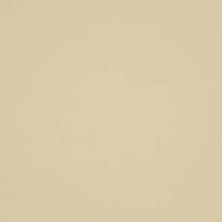 Пластик ARPA 0256 LU 3050х1300х0, 8мм