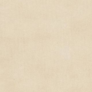 Пластик ARPA 2574 LU 3050х1300х0, 8мм