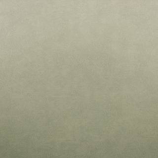 Пластик ARPA 2592 LU 3050х1300х0, 8мм