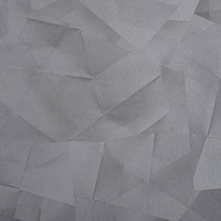 Пластик ARPA 2635 PES 3050х1300х0, 6мм